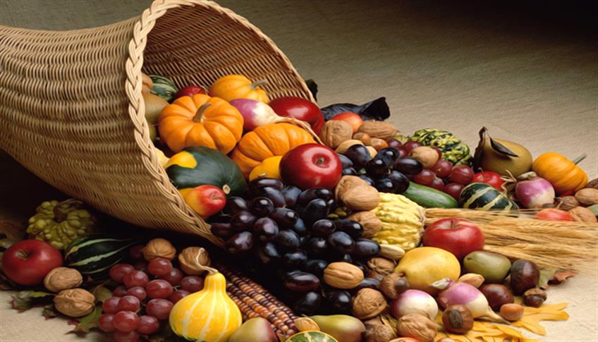 Alimentazione eubiotica: elisir di lunga vita Alimentazione eubiotica: elisir di lunga vita